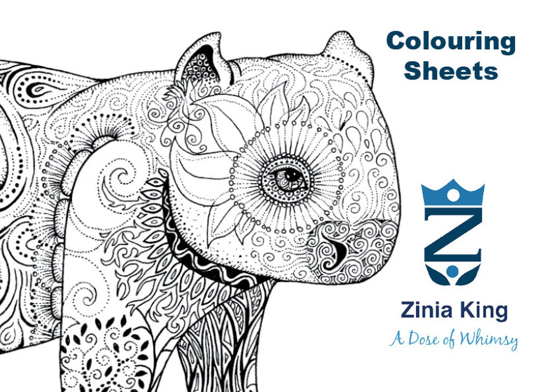 Printable australian animal colouring pages instant download pdf pages school holiday or lockdown activities