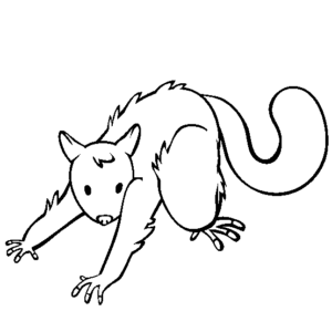 Possum coloring pages printable for free download