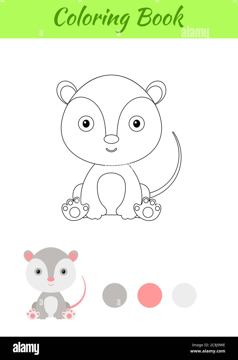 Baby opossum stock vector images