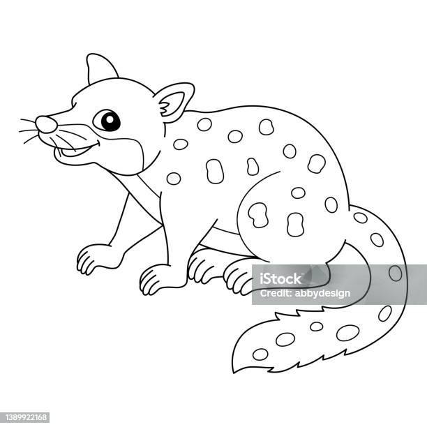 Tiger quoll coloring page isolated for kids stock illustration