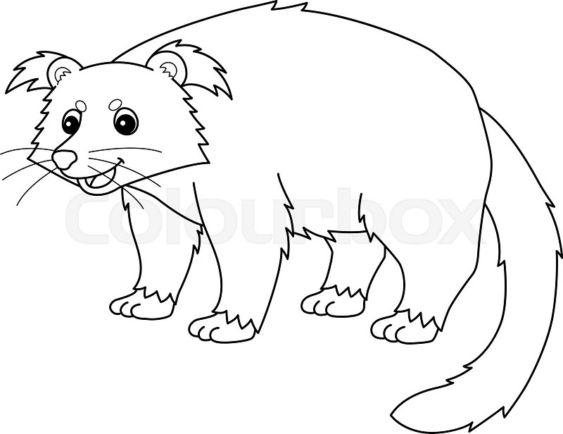 Binturong animal isolated coloring page for kids stock vector