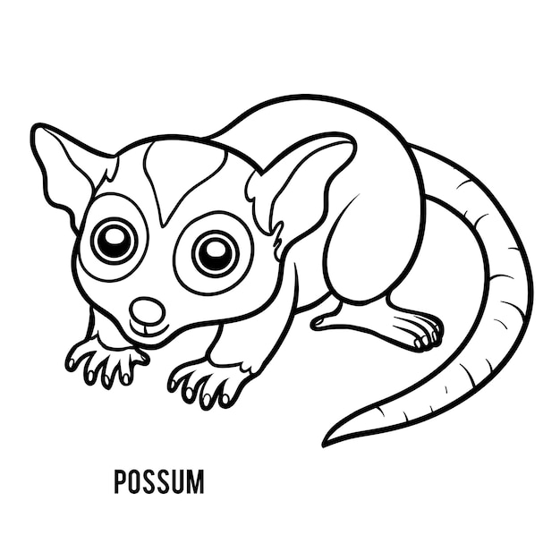 Premium vector coloring book for children possum