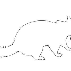 Possum coloring pages printable for free download