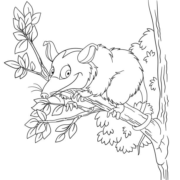 Coloring page of cartoon opossum stock illustration