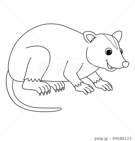 Opossum animal isolated coloring page for kids