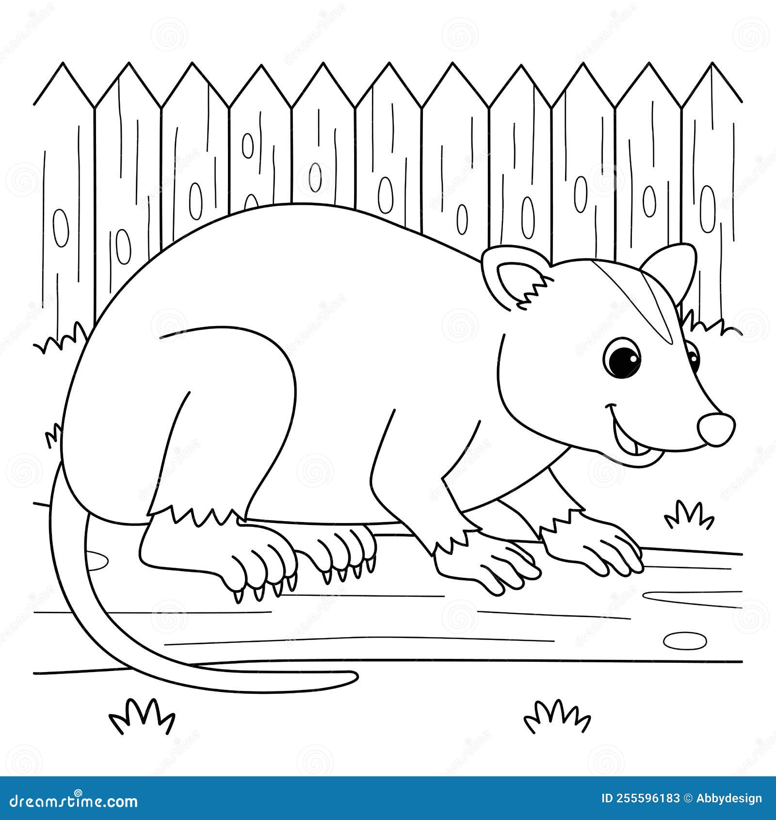 Opossum animal coloring page for kids stock vector