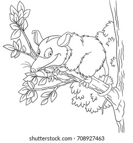 Coloring page cartoon opossum animal coloring stock vector royalty free