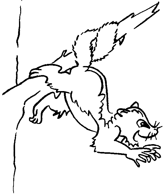 Possum outline picture for print and paint coloring book drawings about australian animals