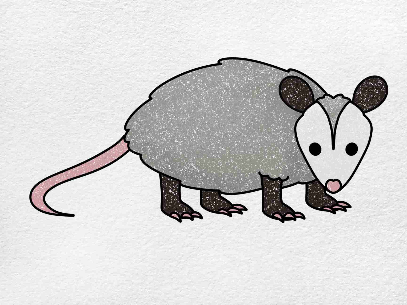 How to draw an opossum