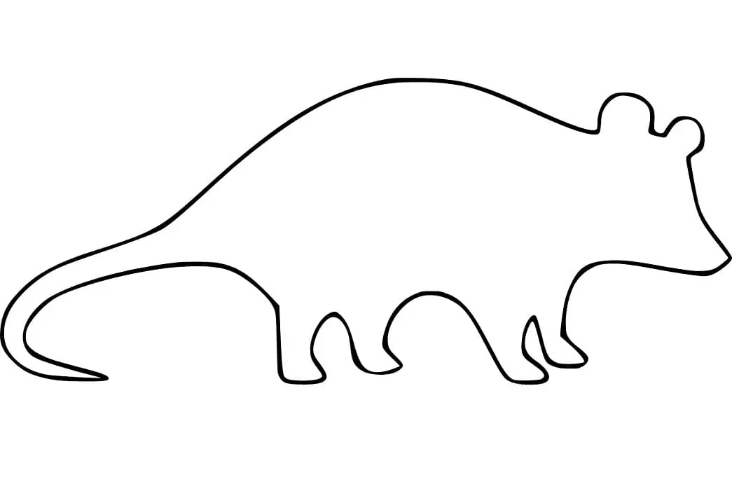 Opossum outline coloring page