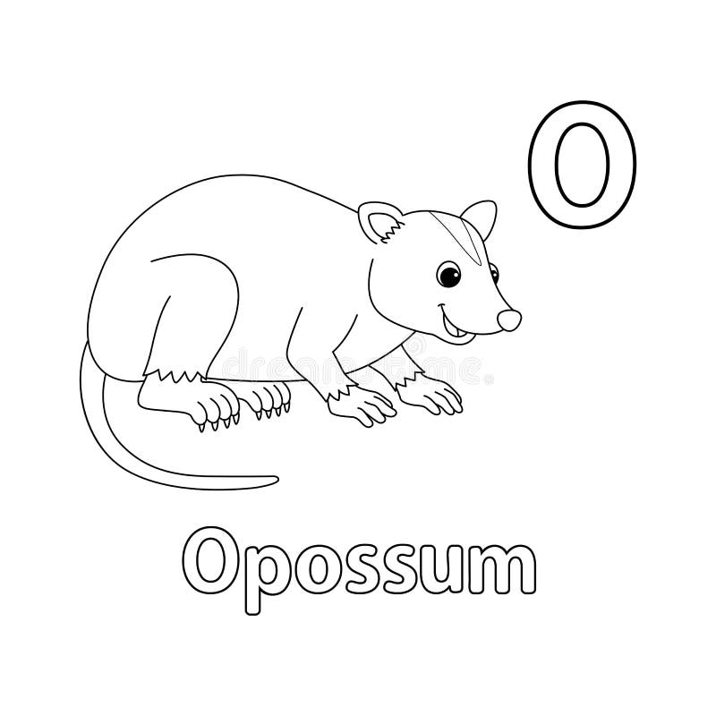 Opossum outline stock illustrations â opossum outline stock illustrations vectors clipart