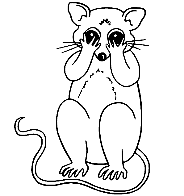 Cute possum coloring page