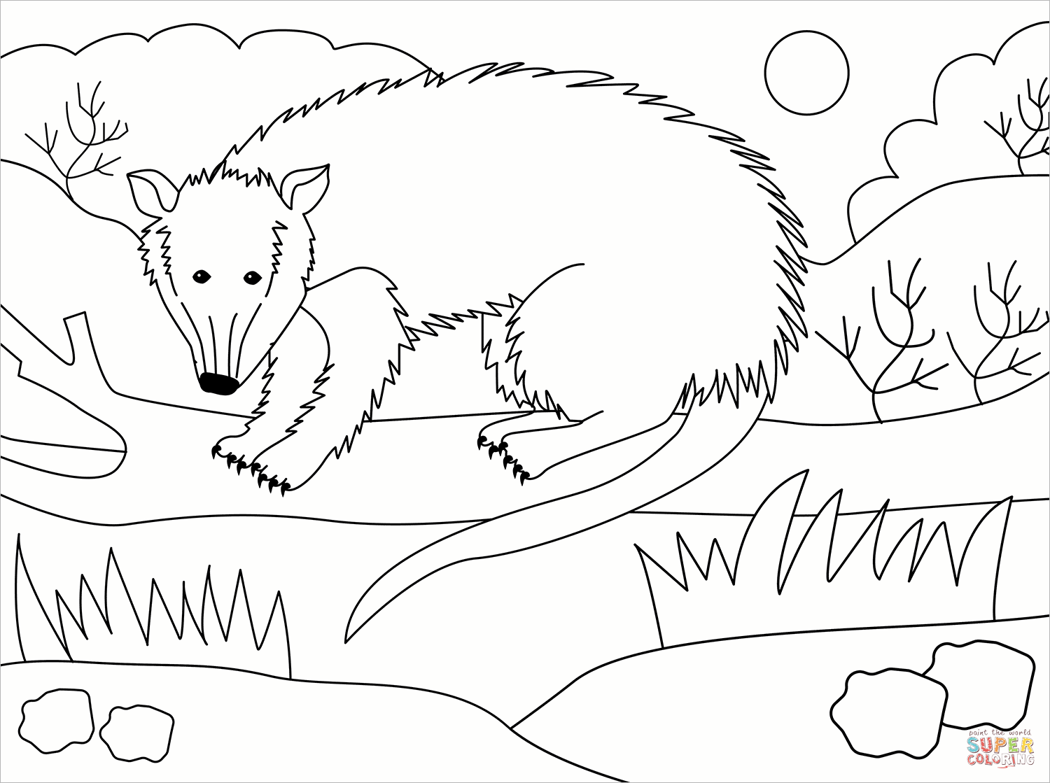 Possum coloring page free printable coloring pages