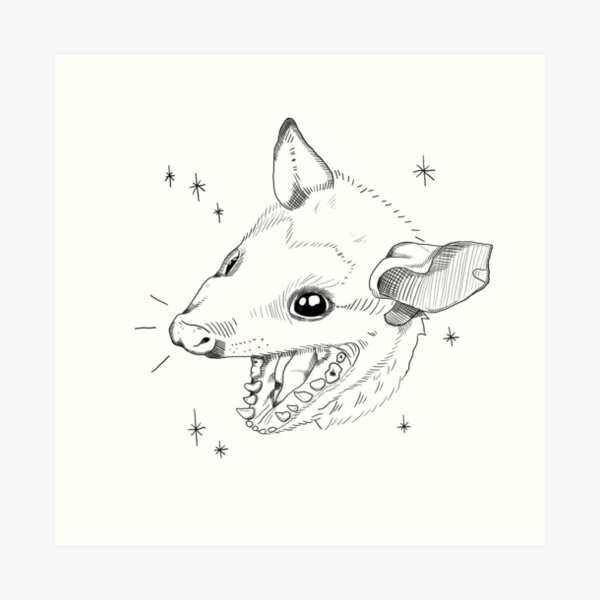 Opossum scream art print for sale by honey