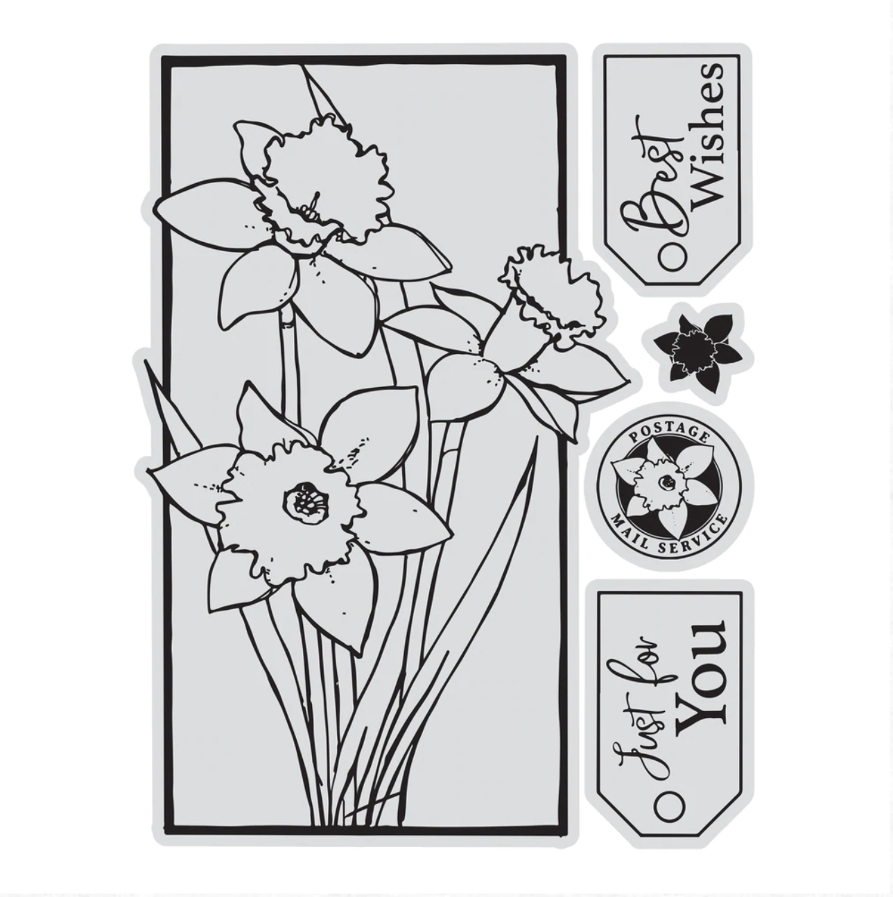 Buy the couture creations stamp colour outline stamps framed daffodils online at scrap dragon all orders ships next business day free s delivery over