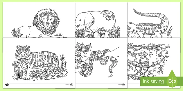 Jungle animals mindfulness louring pages