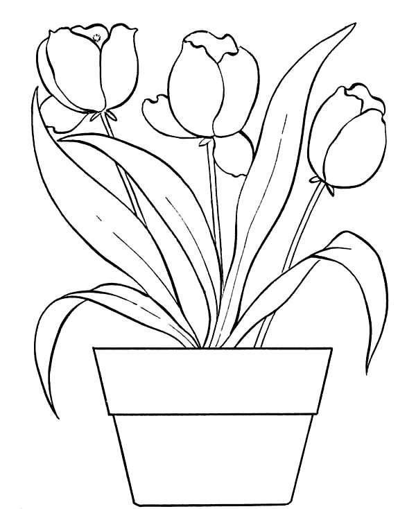 Flower pot coloring pages