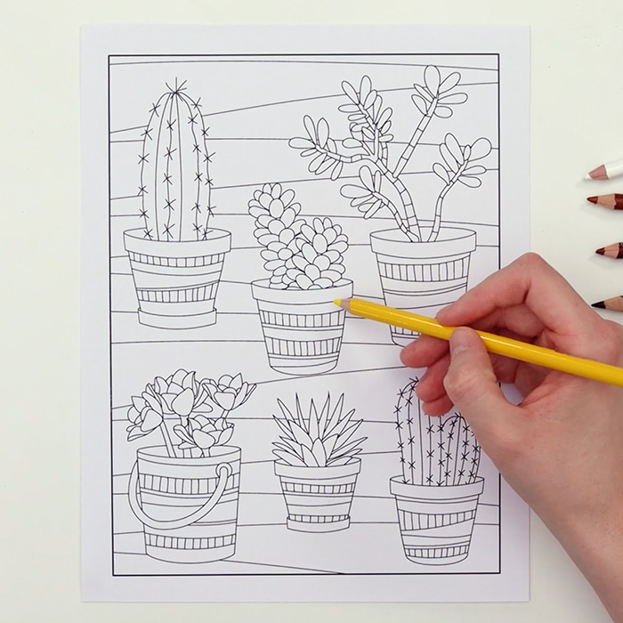 Pots coloring page