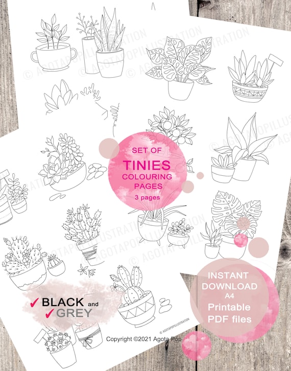 Cute plants in pots tiny illustrations to colour for adults leafy plants succulents printable pdf instant download