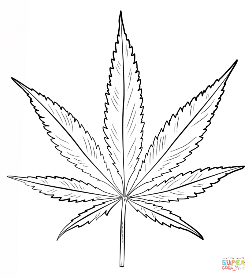 Pot leaf coloring page free printable coloring pages