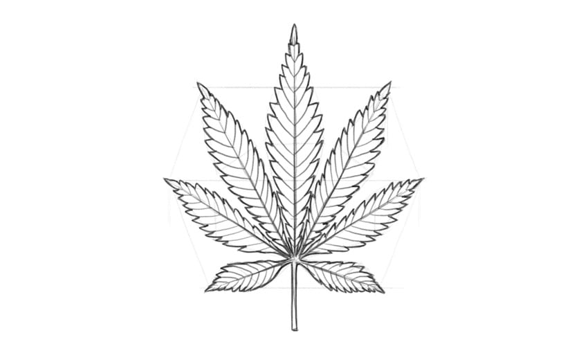 How to draw a pot leaf envato tuts