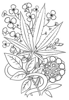 Leaf coloring page