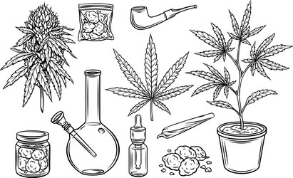 Marijuana leaf outline vector images over