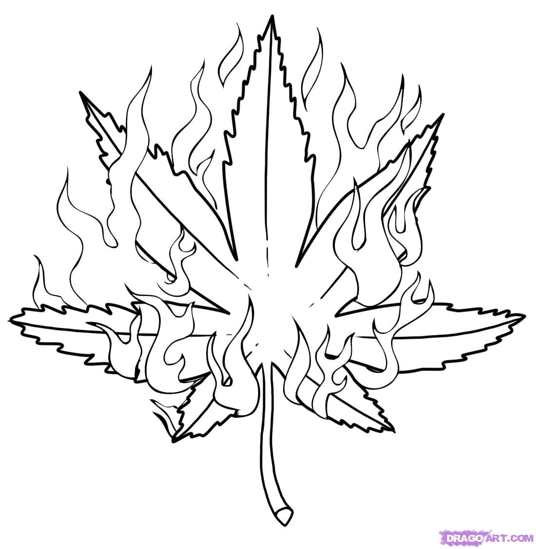 Free pot leaf drawing download free pot leaf drawing png images free cliparts on clipart library