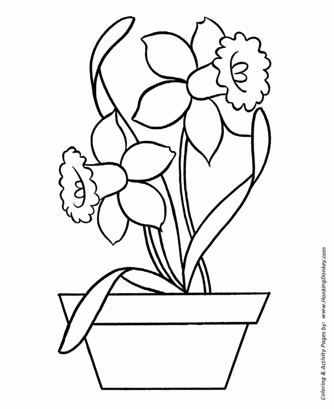 Easy coloring pages free printable daffodils in pot easy coloring activity pages for prek and primary kids