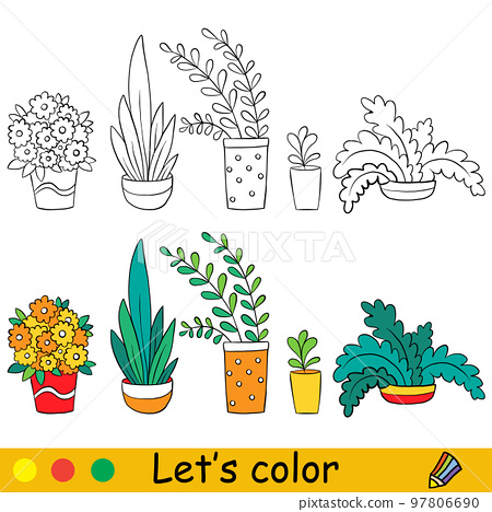House plants coloring page with template vector