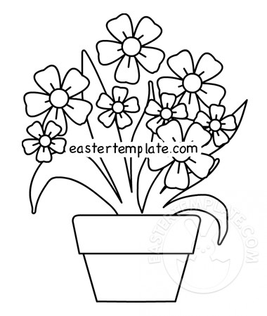 Spring flowers in pot to color