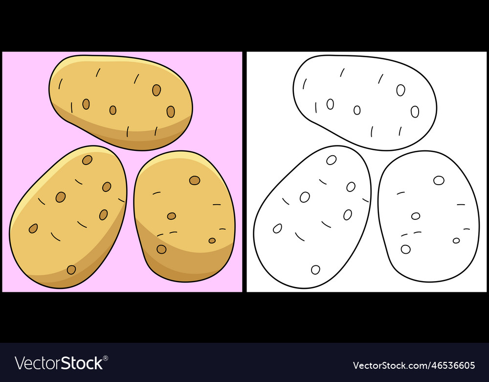 Potato vegetable coloring page royalty free vector image