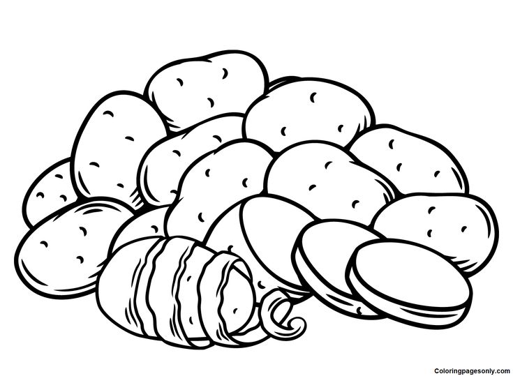 Potato coloring pages coloring pages for kids coloring pages potatoes