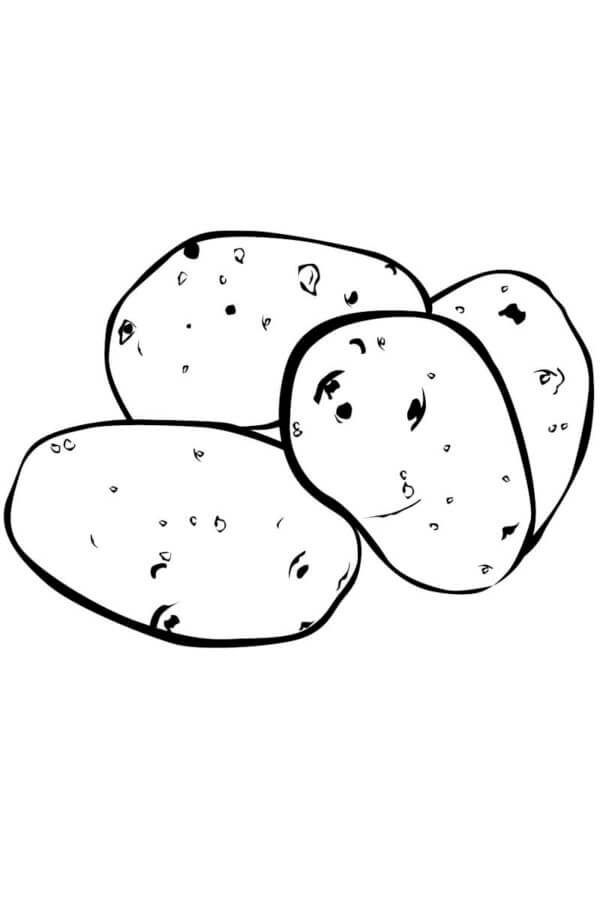 Potatoes from the garden coloring page