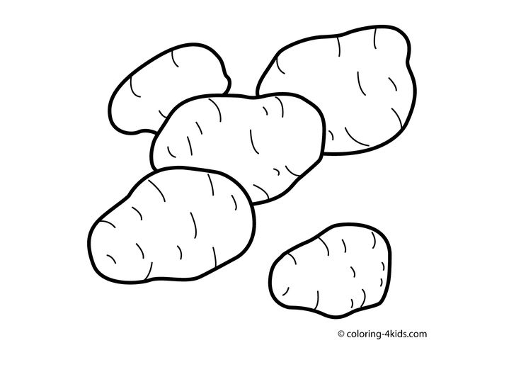 Potato vegetable coloring page for kids printable coloring pages coloring pages for kids vegetable coloring pages