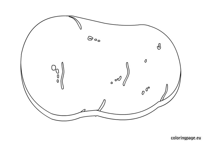 Potato coloring page coloring page