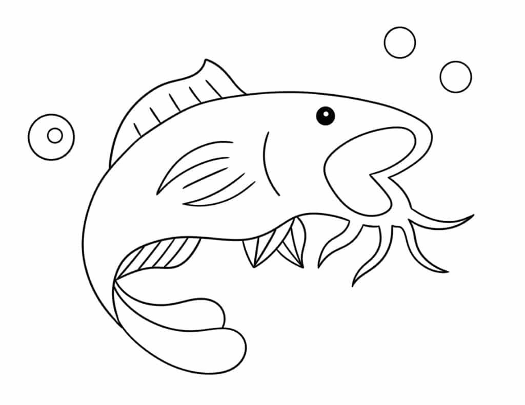 Free fish coloring pages â the hollydog blog