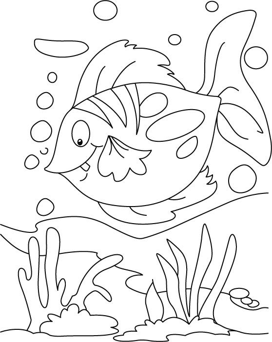 Floating fish coloring pages download free floating fish coloring pages for kids best coloring pages