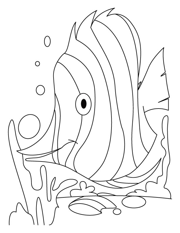 Fish dive coloring pages download free fish dive coloring pages for kids best coloring pages