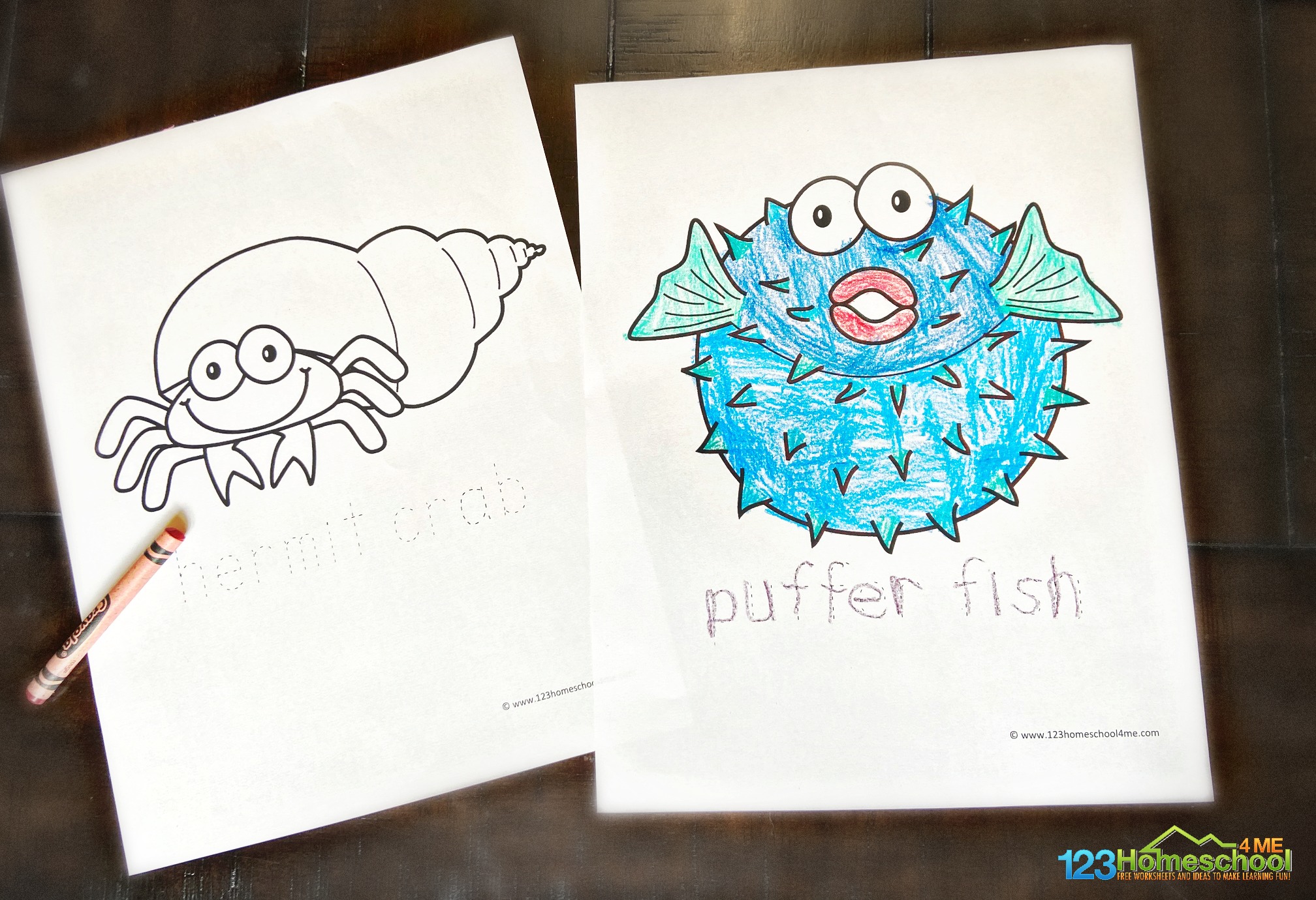 Free under the sea coloring pages