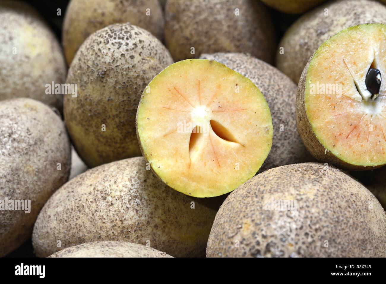 Mamey sapote pouteria sapota stock photo