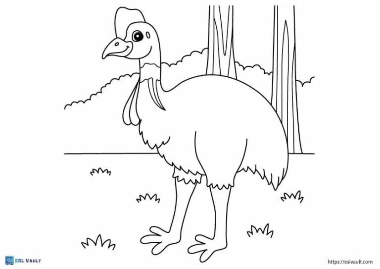 Free pdf australian animals coloring pages