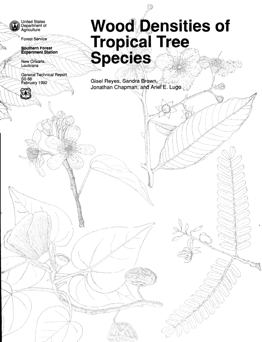 Pdf wood densities of tropical tree species