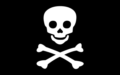 Pirate flag