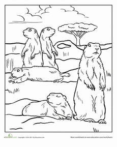 Color the prairie dogs worksheet education prairie dog dog coloring page prarie dog