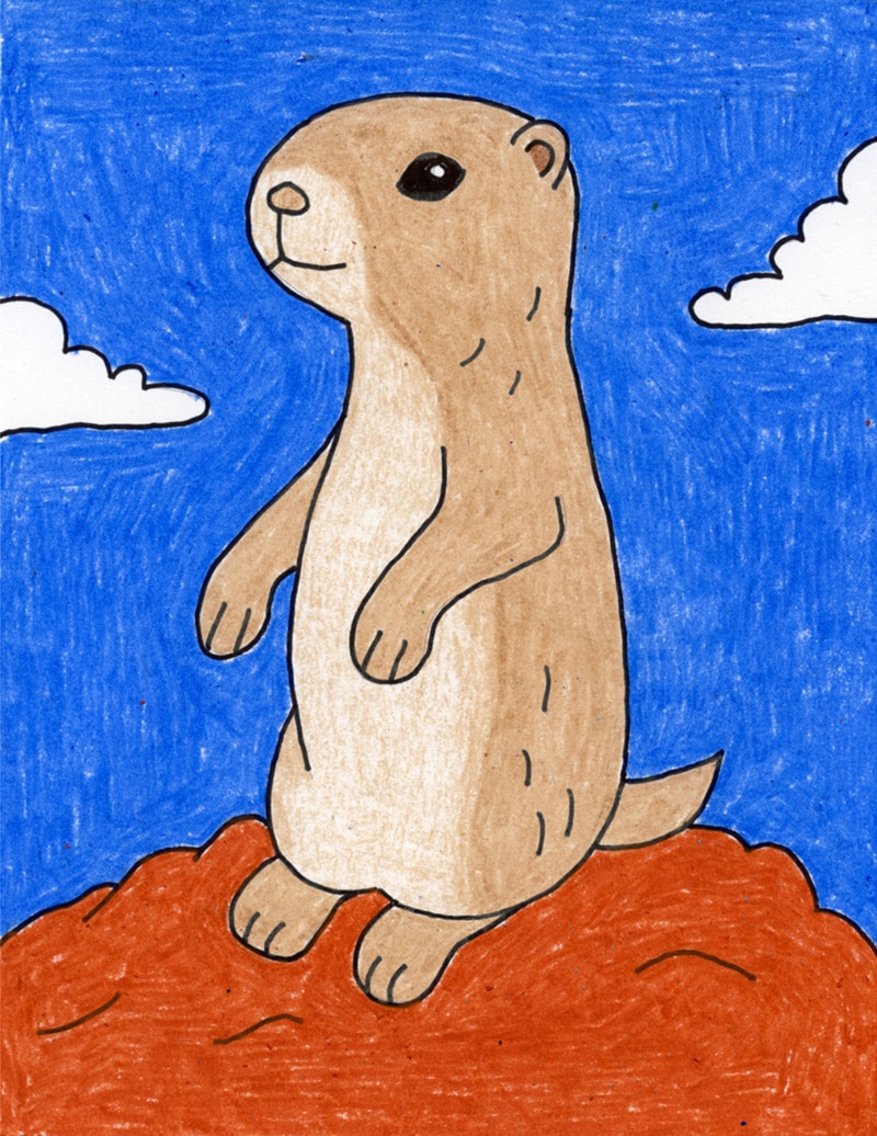 Easy how to draw a prairie dog tutorial and prairie dog coloring page