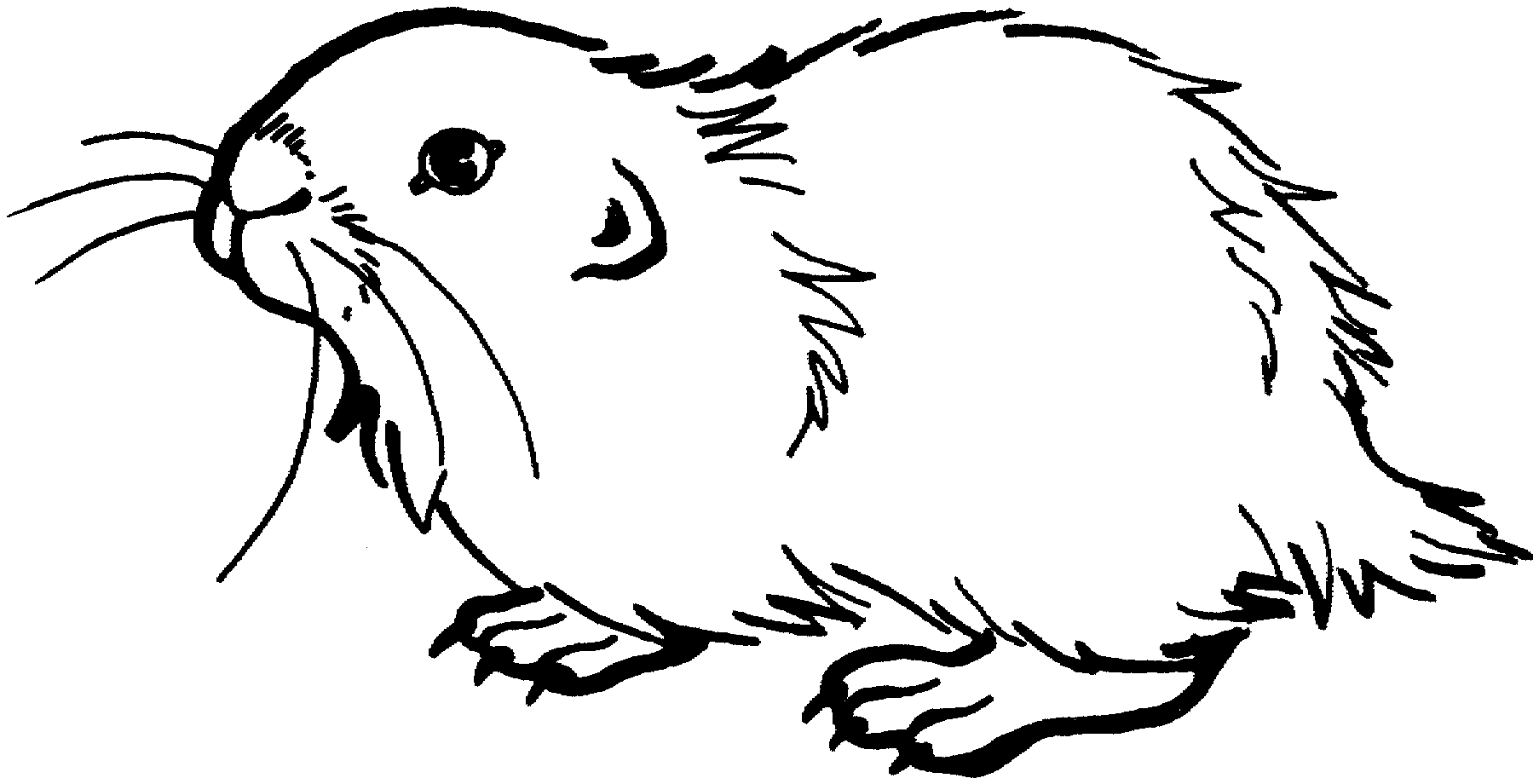 Free prairie dog coloring pages