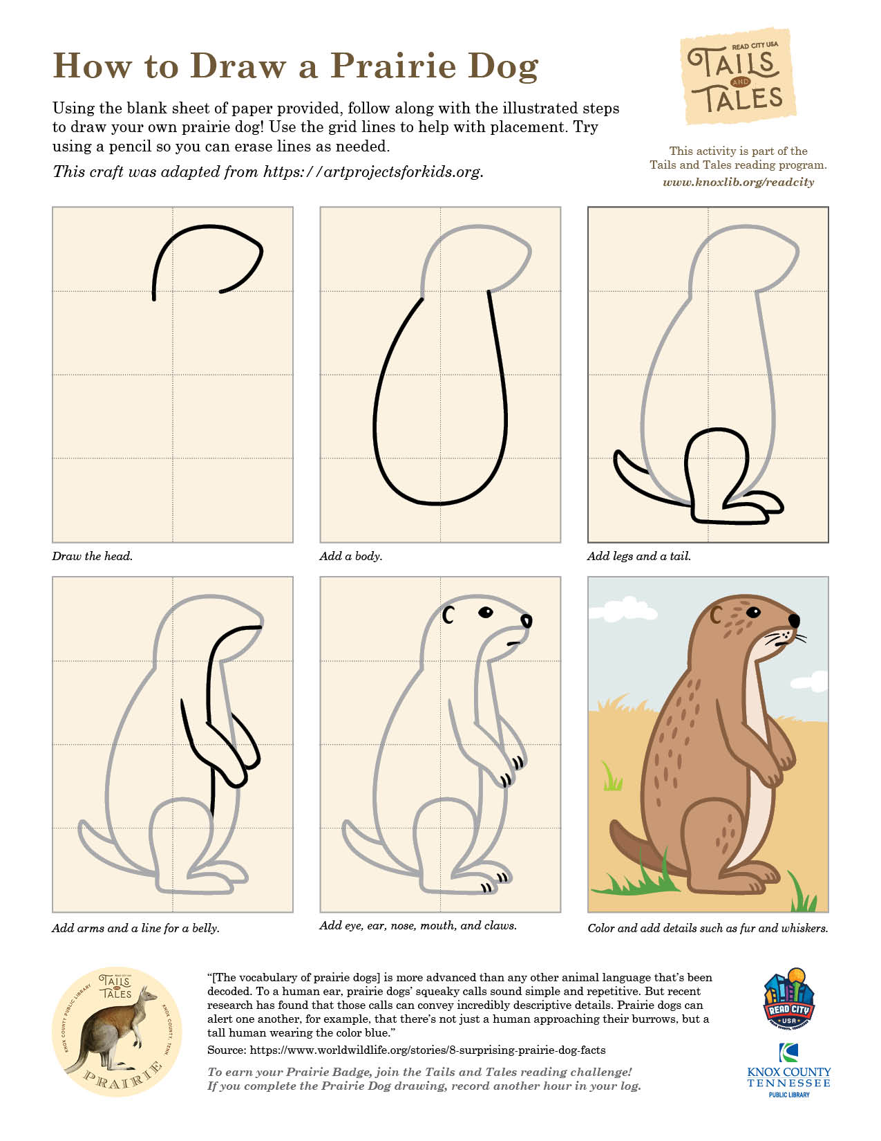 How to draw a prairie dog knox county public library