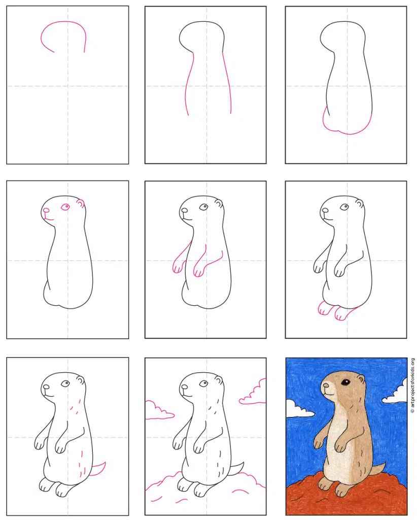 Easy how to draw a prairie dog tutorial and prairie dog coloring page