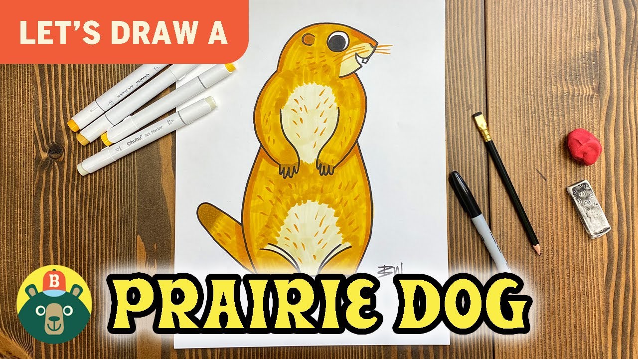 How to draw a prairie dog